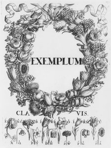 Çiçeklerin dili, Cryptographia