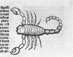 Le Scorpio - Johannes Angelo