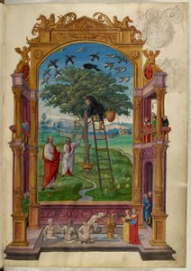 Ms Harley 3469, f.15 Taçlı altın ağaç, Diğer Mesel, Salomon Trismosin