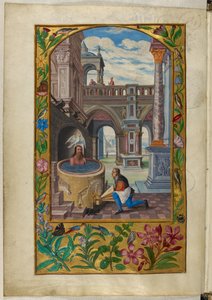 Ms Harley 3469, f.21v Avluda yıkanan adam, Yedinci Mesel, Salomon Trismosin