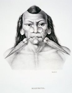 Maxuruna kabilesinin yerli adamı, yüz süslemeli, Atlas of a Journey in Brazil
