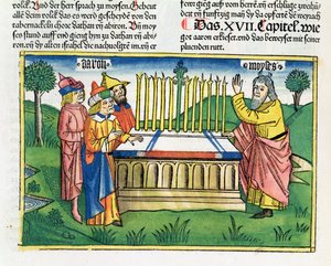 Sayılar 17 1-11 Nürnberg İncil