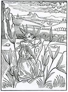 Yararsız ve vayne duaları ve duaları, Alexander Barclay