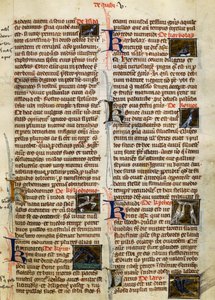Albertus Magnus