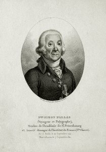 Peter Simon Pallas