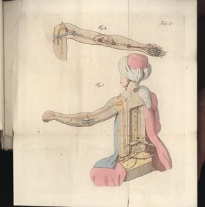 Levha V, Herr von Kempelen