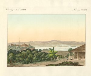 Pulu Penang (renkli gravür) by German School