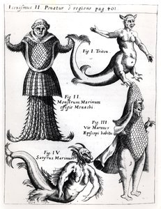Deniz canavarları, Physica Curiosa