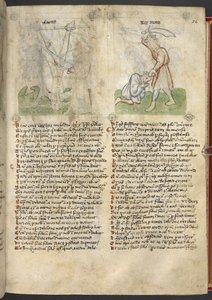 Sloane 361, f.26 Isaiah