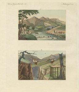 Güney Amerika halat köprüleri (renkli gravür) by German School