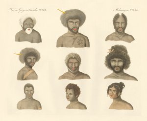 Papualar (renkli gravür) by German School