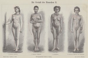 İnsan figürü (gravür) by German School