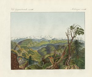 Himalayaların iki görünümü (renkli gravür) by German School