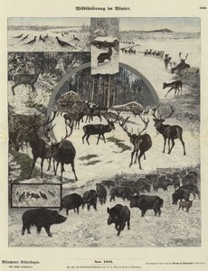 Kışın Yaban Hayatı Besleme by German School