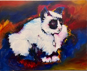Kedi Bungee by Gerrit Greve