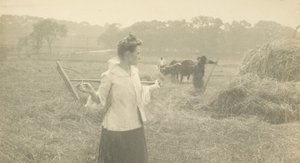  by Gertrude Käsebier