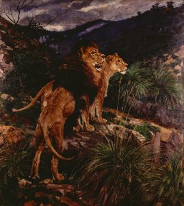 Aslan Stalking (tuval üzerine yağlı boya) by Geza Vastagh