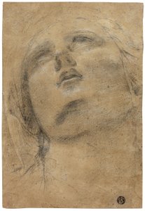  by Giacomo Cavedone
