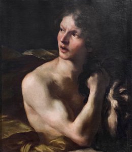 Davut by Gian Lorenzo Bernini