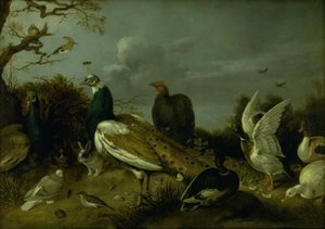Tavus Kuşları, Ördekler ve Diğer Hayvanlar by Gijsbert Gillisz. de Hondecoeter