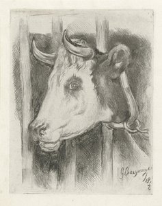 Bir inek başkanı by Gijsbertus Craeyvanger