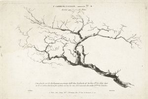 Çıplak ağaç dalı çalışması 1. Cahier de paysage (dizi adı)