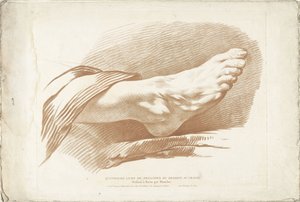 Study van rechtervoet Dördüncü Kalem Tasarım İlkeleri Kitabı (dizi adı) by Gilles Demarteau