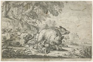Yaban Domuzu Avları (dizi adı)