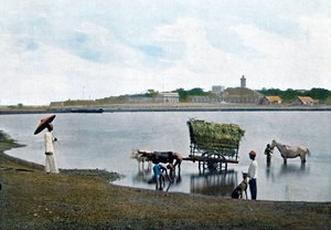 Kolombo, Seylan, c1890