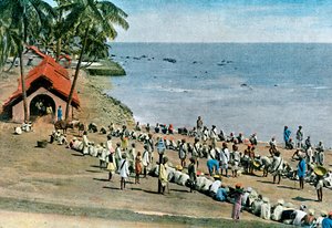 Ortak köy yemeği, Andaman ve Nikobar Adaları, Hint Okyanusu, c1890