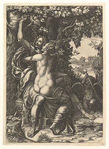 Angelica ve Medoro, kucaklaşan çift, Medoro isimlerini bir ağaç kabuğuna oyuyor..., yakl. 1570. by Giorgio Ghisi