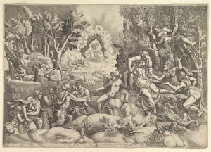 Procris