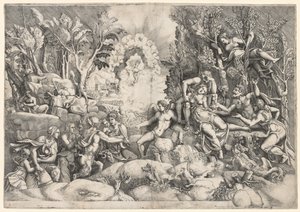 Procris