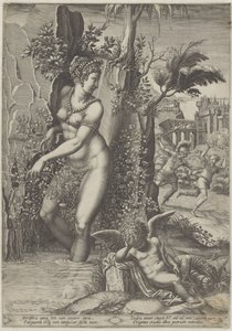 Venüs ve Gül by Giorgio Ghisi