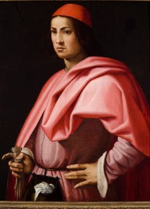 Floransalı bir beyefendinin portresi (gemide yağ (kavak tahtasında yağ) by Giorgio Vasari