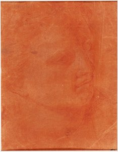 Üç Çeyrek Profilde Baş (rekto); Ayakta Duran Genç Adam Solu Gösteriyor ve Ayak, Kol Eskizleri (verso) by Giorgione
