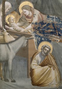 Doğuş, Bakire ve Çocuk, eşek ve Yusuf detayı, 1303-05 (restorasyon sonrası) by Giotto di Bondone
