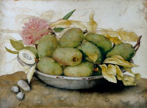 Yenidünya, badem ve bir gül tabağı by Giovanna Garzoni