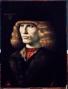 Genç adamın portresi, yaklaşık 1495 (tahta üzerine yağlı boya) by Giovanni Ambrogio de Predis