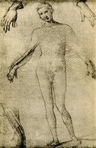 Ana misericordiae olarak bir Meryem Ana için Model Çalışması by Giovanni Antonio Bazzi Sodoma