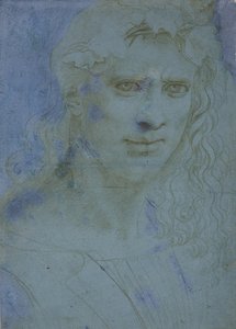 Dikenler ve asma sürgünleri ile taçlandırılmış genç büstü, c. 1495 (mavi hazırlanmış kağıt üzerinde metal uç) by Giovanni Antonio Boltraffio