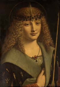 by Giovanni Antonio Boltraffio