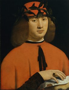 Genç bir adamın portresi, c.1500 (panelde yağlı boya) by Giovanni Antonio Boltraffio