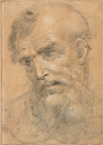  by Giovanni Antonio Sogliani