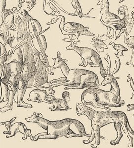 Recammi örneği, sayfa 12 verso, 1530. by Giovanni Antonio Tagliente
