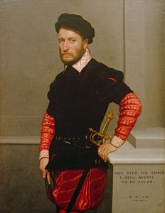 Don Gabriel de la Cueva'nın portresi, Albuquerque Dükü (1525-71) 1560