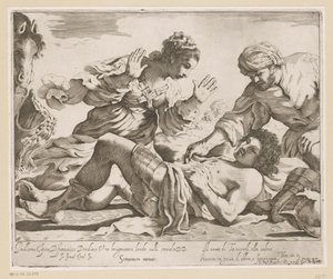 Erminia ve Vafrino Tancredi