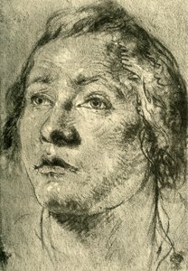 Bir Genç Adamın Başı, 18. yüzyılın ortaları, 1928 by Giovanni Battista Tiepolo