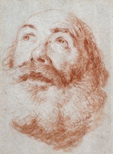 Yaşlı bir adamın başı yukarıya bakıyor, by Giovanni Battista Tiepolo