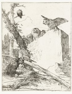 Bir taş tarafından baykuşlar ile Scherzi di fantasia için başlık baskısı Scherzi di fantasia (dizi adı) by Giovanni Battista Tiepolo